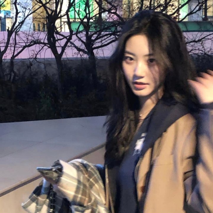 闪光的羽毛 在线观看